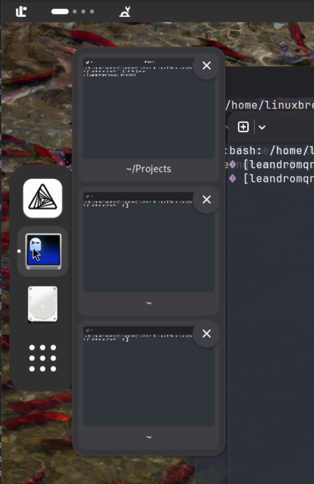 Aurora Shell dock displaying live previews for several windows of one application.